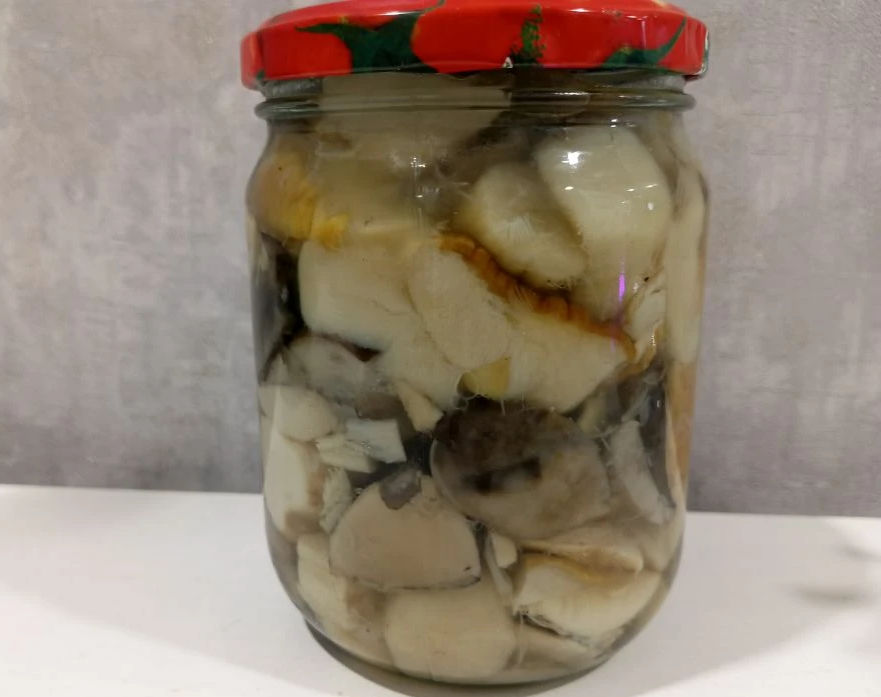 Сезон весенних грибов стартовал в Рязанской области