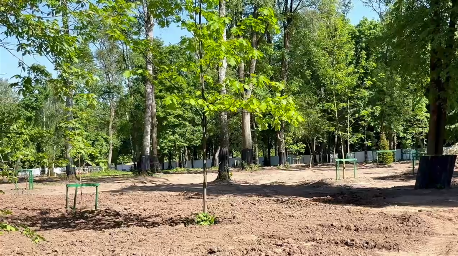 В ЦПКиО Рязани сажают черёмуху, сосны и ели