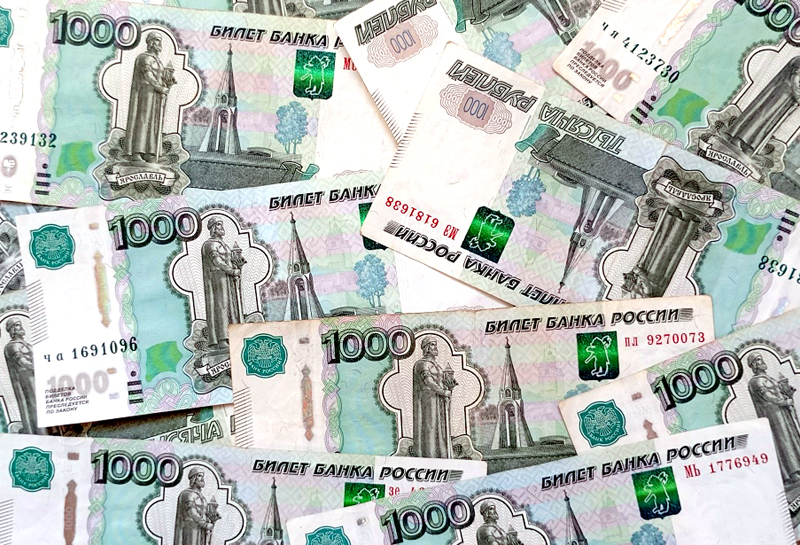 Рязанский регион оказался на 55 месте в рейтинге по уровню заработных плат в малых и средних населённых пунктах