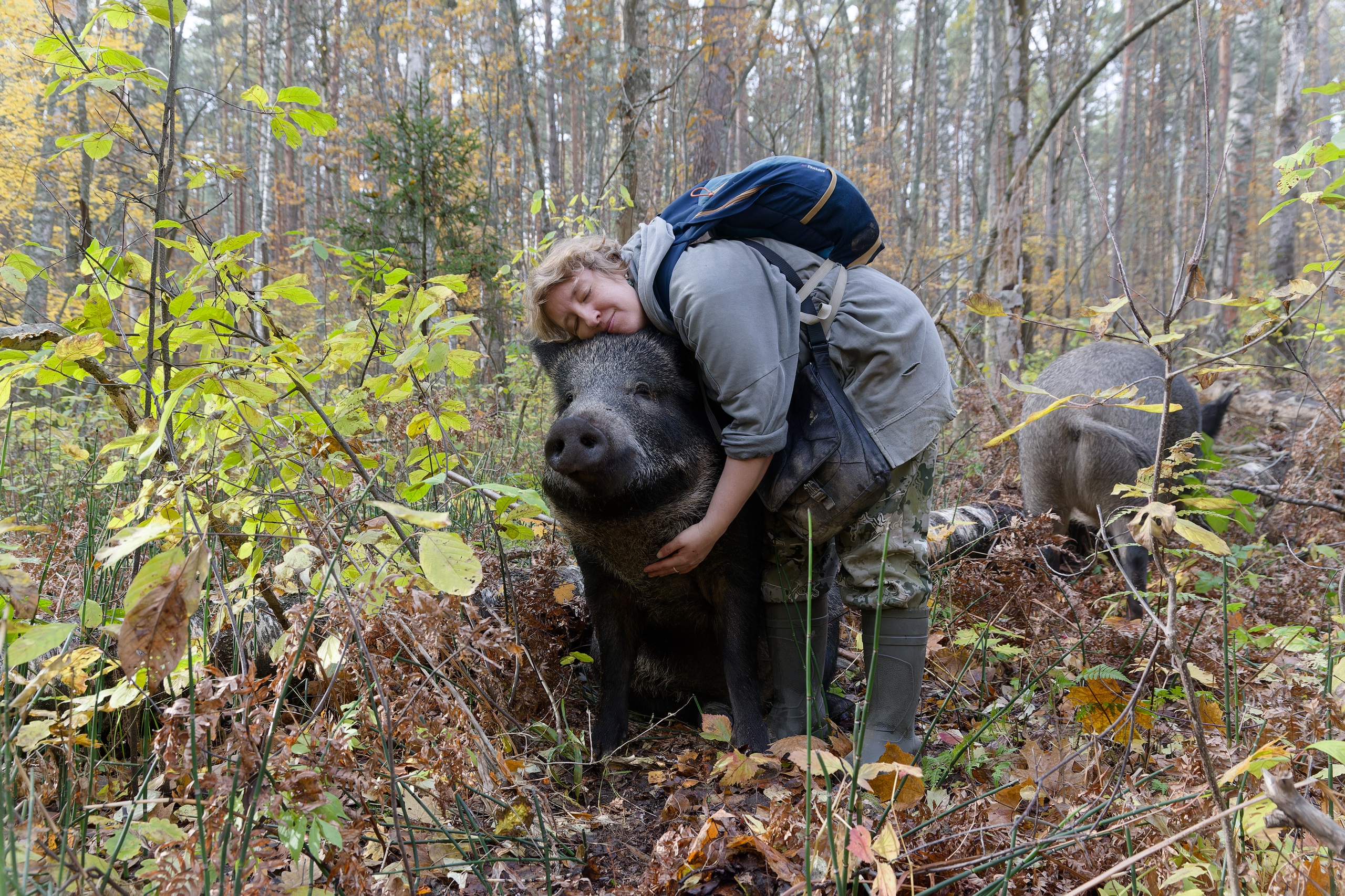 Сотрудник Окского заповедника готовит к выпуску книгу «Гнездо кабана»