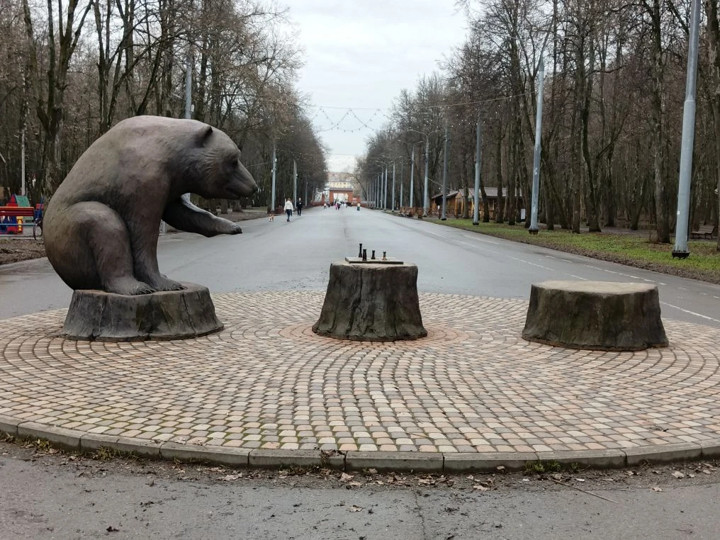 Лесопарк в Рязани возвращается к обычному режиму
