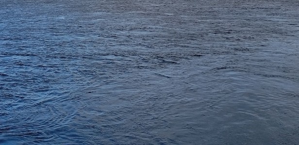 Озеро Белое в Рязанской области признано самым глубоким в ЦФО