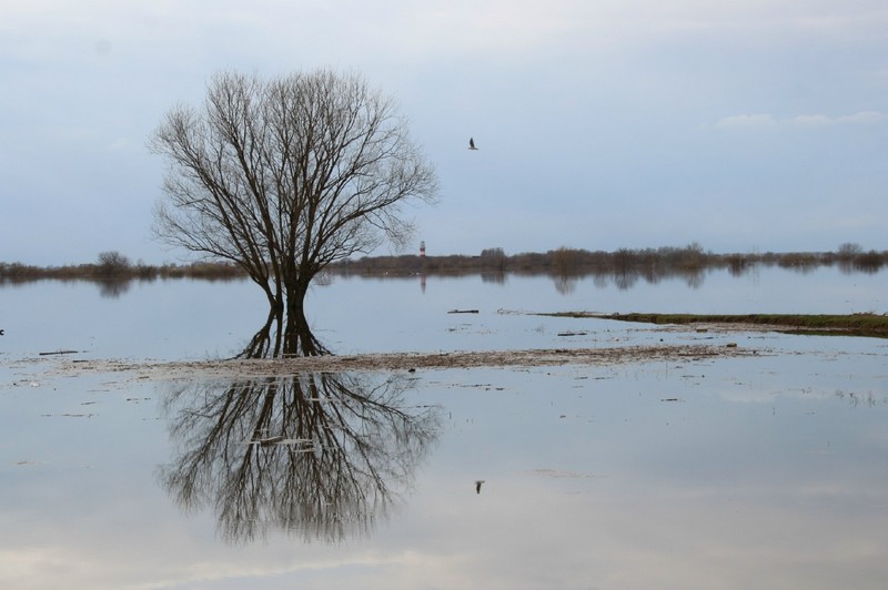 Старт сап-заплыва «Рязанское море» перенесён в Борковской затон
