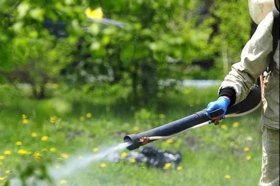 Общественные пространства Рязани обработают от клещей