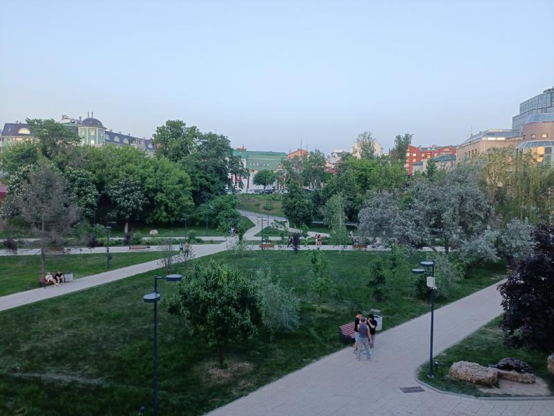 Установлены охранные зоны для четырёх памятников природы в Рязанской области