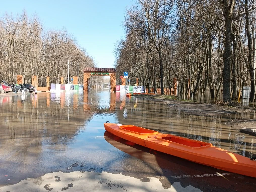 Прокат байдарок начал работать в Лесопарке Рязани